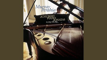 Piano Sonata No. 20 in A Major, D. 959: I. Allegro