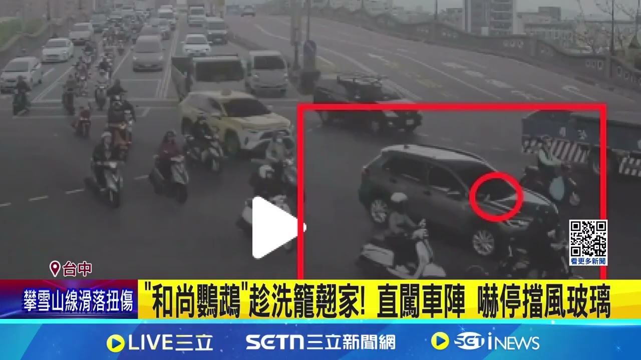 “和尚鸚鵡”趁洗籠翹家! 直闖車陣 嚇停擋風玻璃  “和尚鸚鵡”偷飛出家門溜搭 搭警車遊派出所 │記者 李建瑩 邱瑞揚  │新聞一把抓20250321│三立新聞台