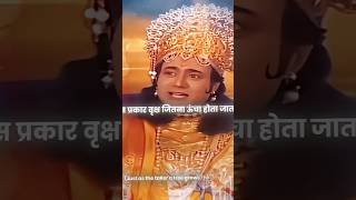 भागवत गीता ज्ञान 🛐 | #geetagyan #bhagavadgita #mahabharat #shreekrishna #krishna #shorts @Rtt