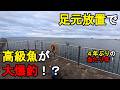 【茨城県某所】足元放置で高級魚が大爆釣！？真冬の厳寒期に、関東地方の太平洋側に面している地域にある釣り場で、数年ぶりに好調の、とあるターゲットを狙って釣りしてみたら…！【2026年2月下旬】
