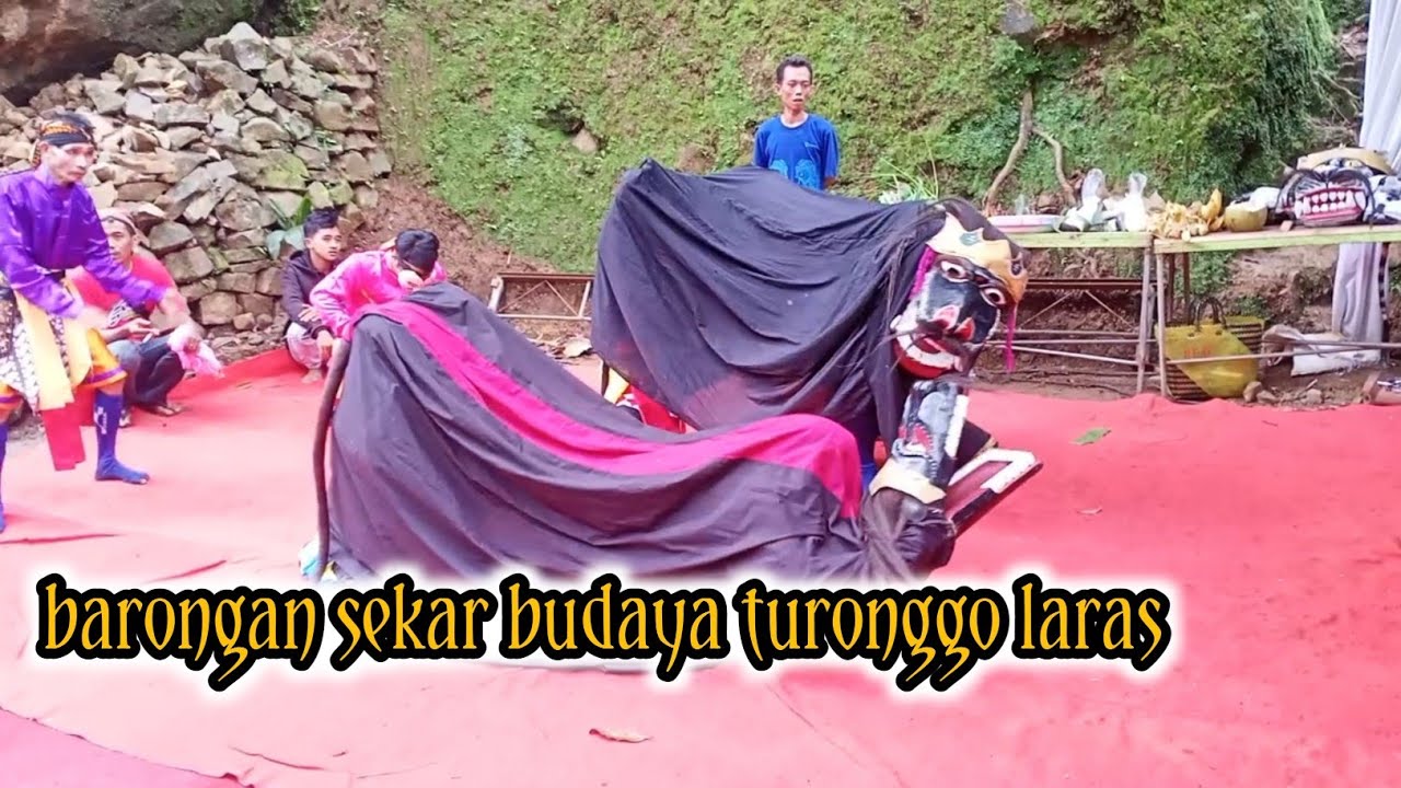 BARONGAN EBEG SEKAR BUDAYA TURONGGO LARAS terbaru live wagirpandan