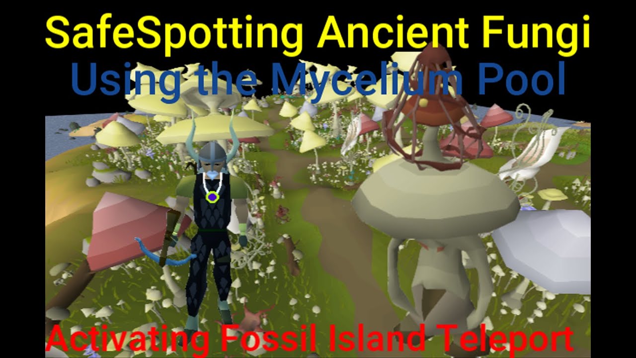 OSRS Ancient Fungi Safespot and Mycelium Pool