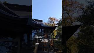 【金劔宮(きんけいぐう)】名前も国もない 生まれたての元気 の気分 #太陽と埃の中で #チャゲアス #金劔宮 #日本三大 #金運神社 #金運 #金運アップ #金運上昇 #パワースポット #shorts