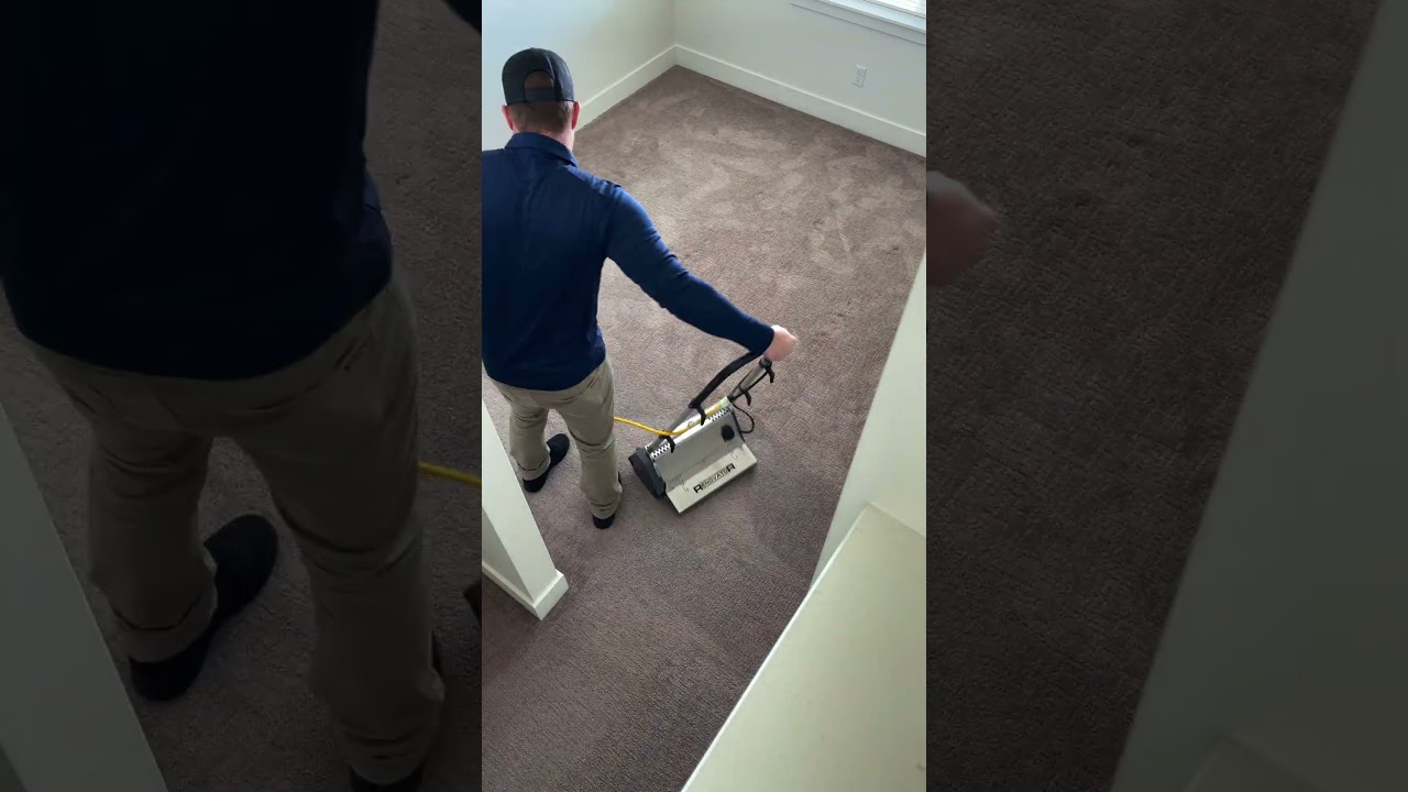 Oxi Fresh Carpet Cleaning