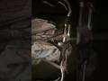 #ytshorts #shorts #youtubeshorts #trending #reels #viralvideo #viralshorts #trendingshorts #paperboy