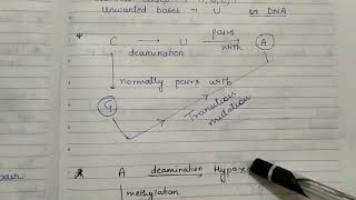 DNA repair Part 1 Mismatch repair