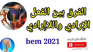 4#متوسط التحضير#الفرض الثاني في العلوم الطبيعية الرابعة متوسط ملخص الاتصال العصبي