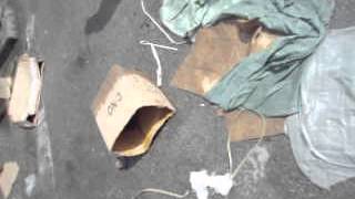 MOV03807