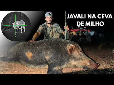 WILD BOAR HUNT