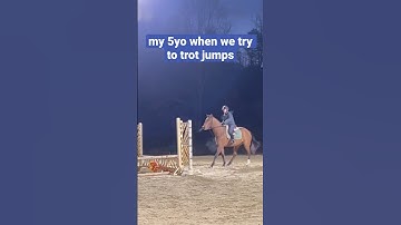 my blind horse