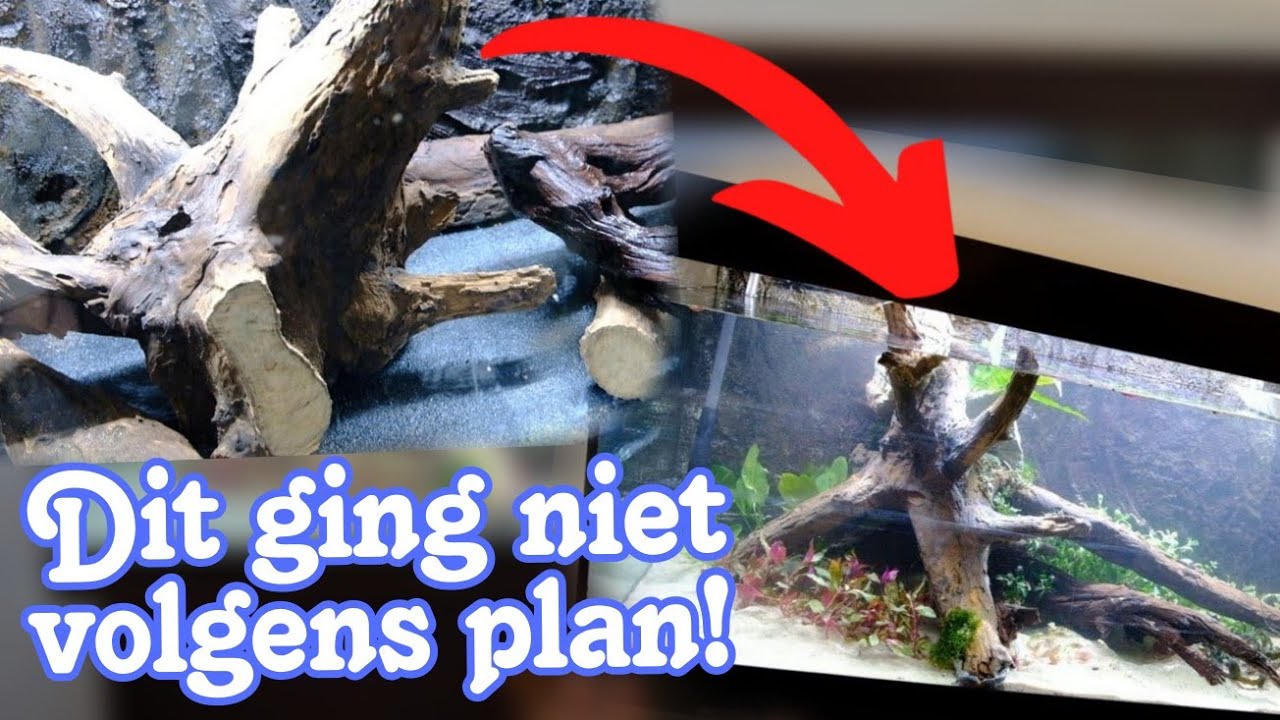 150cm Aquarium inrichten Ging NIET SOEPEL //Nickey//