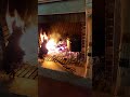 Cozinhar cabrito