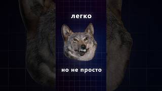 Анимация ракеты в афтер эффектс #aftereffects