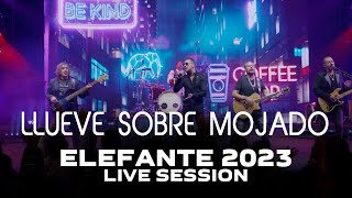 Llueve sobre Mojado ELEFANTE 2023 (Live Session)