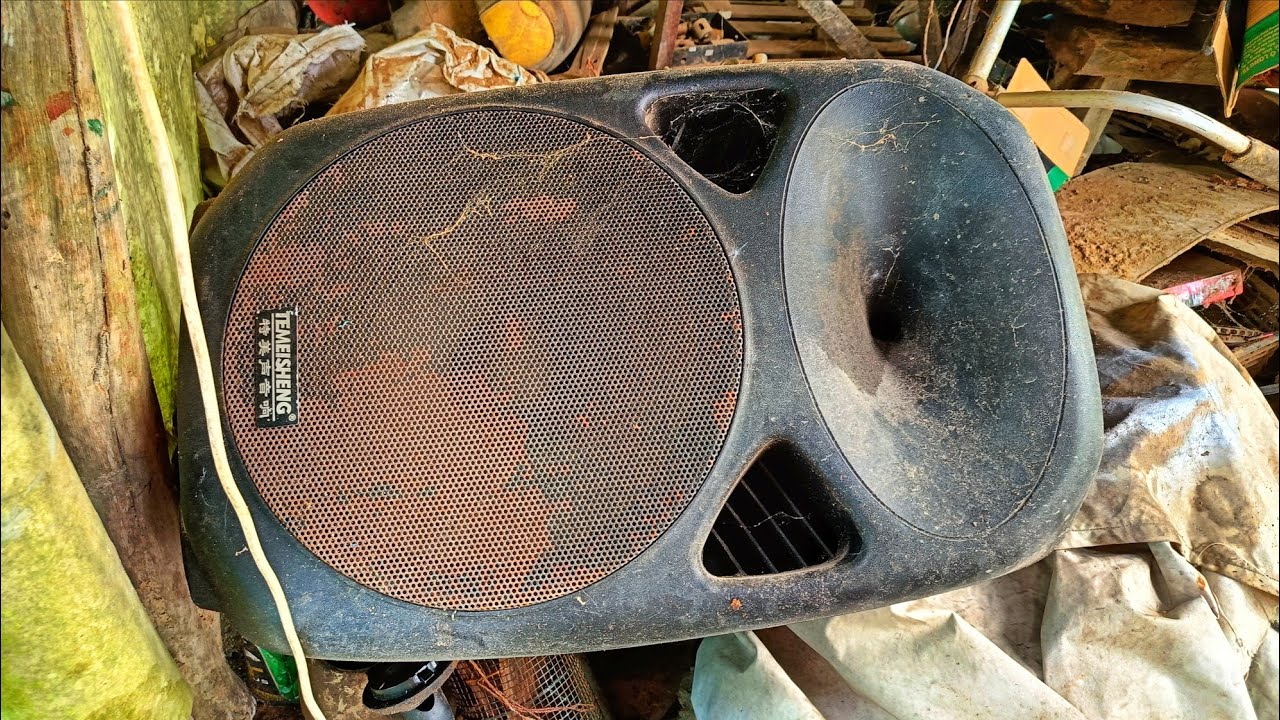 Rusty Speaker RESTORED to Life – You Won’t Believe the Result!