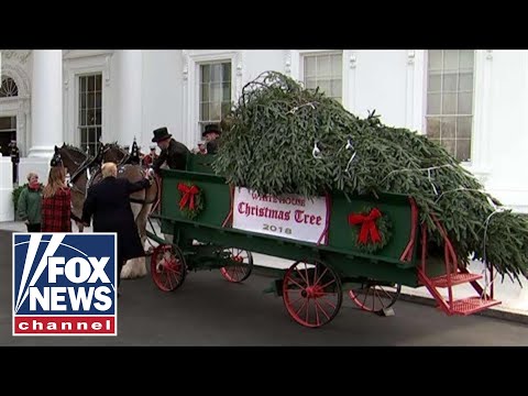 Trump, First Lady receive the White House Christmas Tree