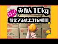 【なぜなに？】みかん10kg数えてみただけの動画