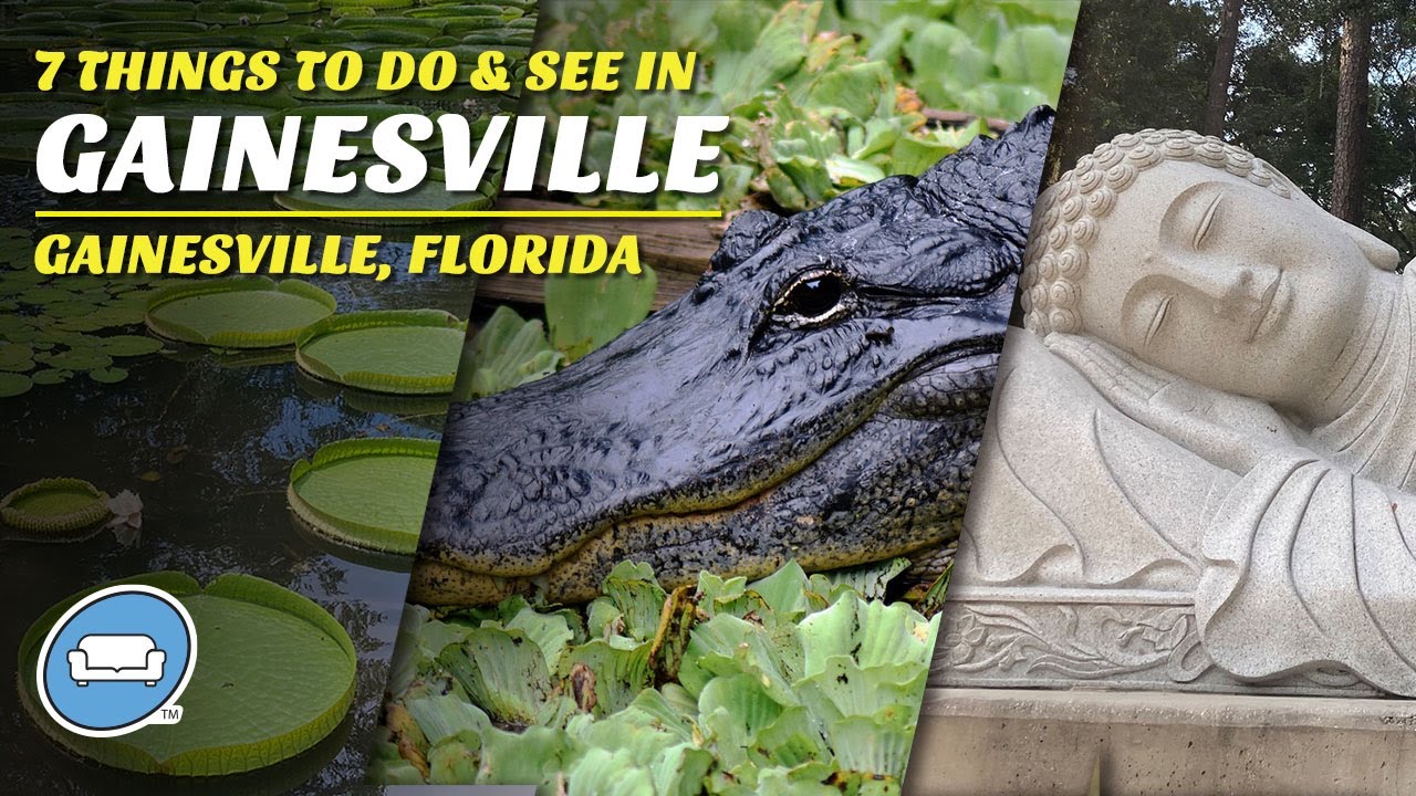 7 Cool Things to Do and See in Gainesville, Florida - YouTube