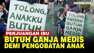 Mengenal Ganja Medis Usai Viral Ibu Perjuangkan Pengobatan Anak Tercinta