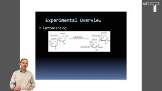 Famous Lactase pre-lab Wealth