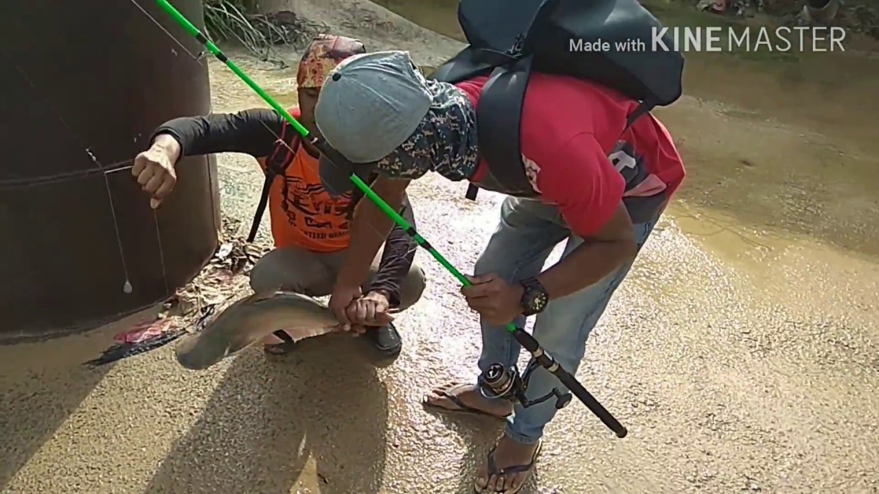 Mancing di sungai Malaysia 