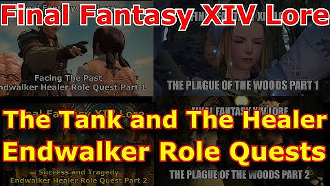 The Tank and the Healer Endwalker Role Quests (FFXIV Lore)