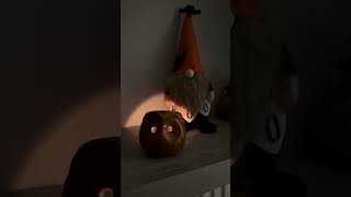 🦉My aroma owl-guard on duty🕯️ #writerslife #aromatherapy #owl #gnome #amwriting