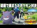 そこら辺の道端で捕まえてきたポケモンだけで対決だ！【ポケモンチャンピオンズ】
