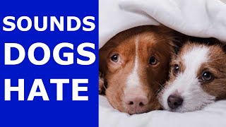 5 Sounds Dogs Hate All Time | Hq #Prankyourdog