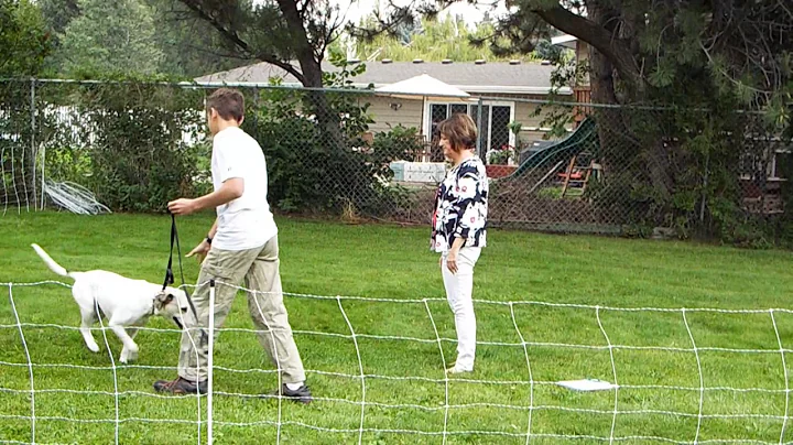 Obedience Class