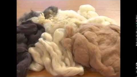 Natural Fibers to Fabrics and Beyond