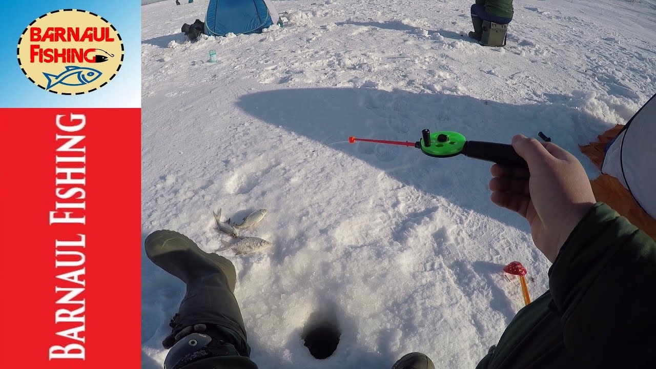 ПЕРВАЯ РЫБАЛКА ПОСЛЕ ГЛУХОЗИМЬЯ .Зимняя рыбалка (Barnaul Fishing)