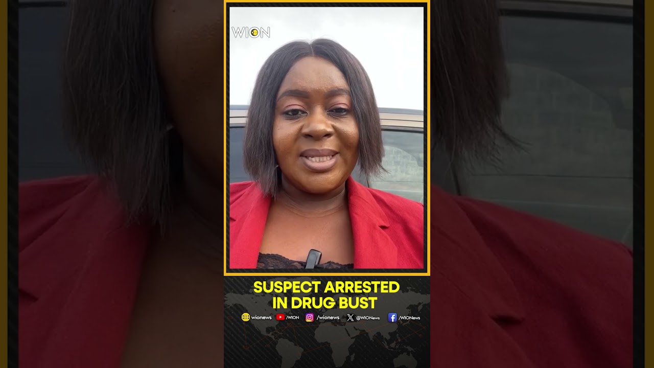 NDLEA Seizes 396,000 Tramadol Capsules at Yola Airport, Suspect Arrested | WION