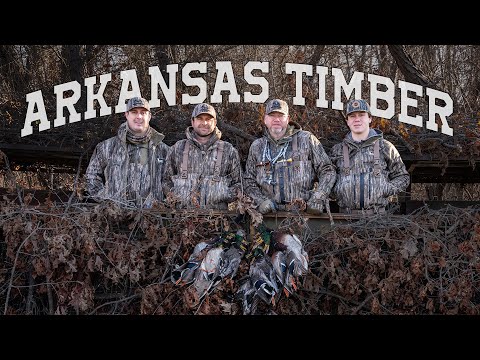 Duck Hunting Arkansas | Mallards in the Timber | Black Cloud