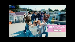 Download Lagu 8LOOM - Kimi no Hana ni Naru - Melody - DANCE PERFORMANCE VIDEO / MV (Lyrics Original) MP3 Download Lagu 8LOOM - Kimi no Hana ni Naru - Melody - DANCE PERFORMANCE VIDEO / MV (Lyrics Original) MP3