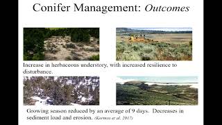Conifers in Context A Community Based Eval  of Conifer Removal for Sagebrush and Woodland Obligates