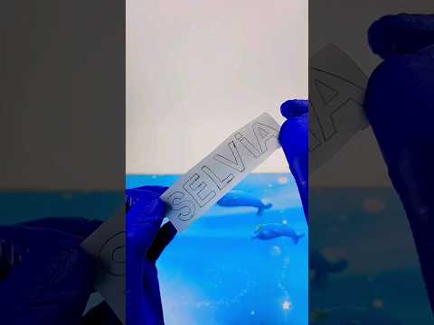 كتابه اسم سيلفيا    تصميمي 