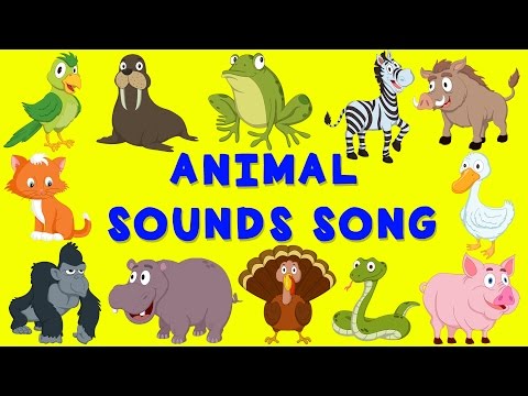 Animal Sounds Song | English nursery rhyme | Baby Song for children