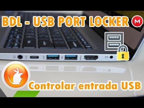 Cómo deshabilitar los puertos USB de tu laptop o PC para proteger tu  información personal?, Tutoriales