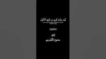 فجرية هادئة من سورة آل عمران،  لايغرنك تقلب الذين ڪفروا في البلاد #قرآن #القارئ #سعود_الشريم #تلاوة