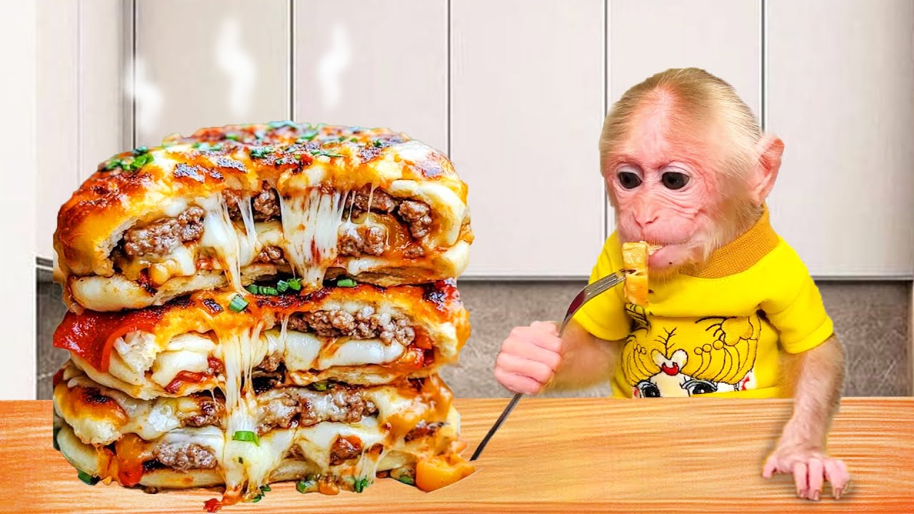 Monkey Bibi Cooks Crockpot Pizza Burgers và Learns to Play the Organ | Bibi Funny Animals