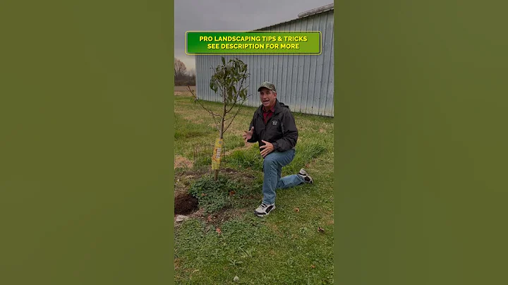 PRO TIP | Successful Fruit Tree Planting 🍑 🍎 🍒 🍋 - DayDayNews