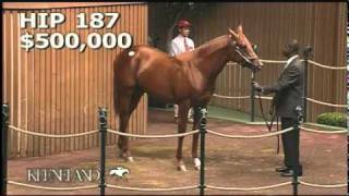 Drosselmeyer