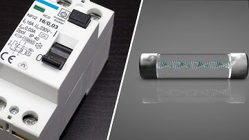 Difference Between Fuse and Breaker | Circuit Breaker Vs Fuse