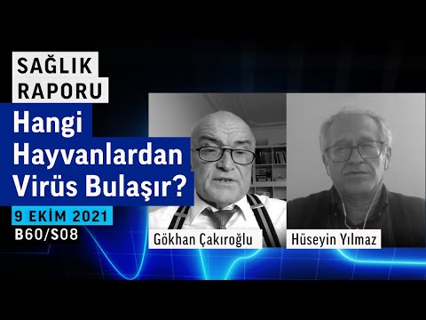 Virüs neden korkar,