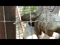 How to tie non-climb/no-climb wire on pipe fence Brought T You By AZ Kent Industries