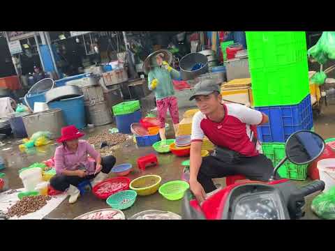 Khám phá chợ đầu mối Bình Điền 