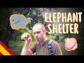 Visiting an elephant shelter - Advanced Spanish - Tourism & Travel #21