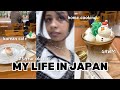 LIVING ALONE IN JAPAN VLOG ! Cozy Korean Cafe, Daily Makeup, Homebody Cooking