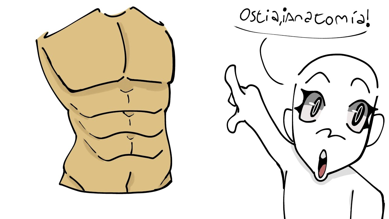 ★Anatomia así bien facilota en 9 minutos 